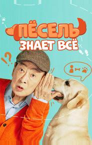 Пёсель знает всё