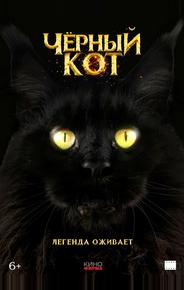 Черный кот