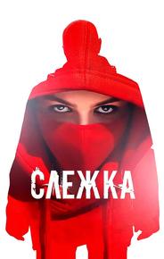 Слежка