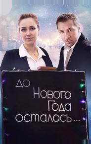 До Нового года осталось…