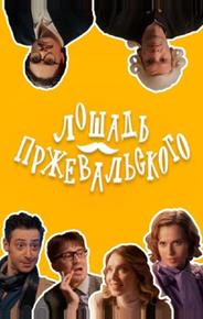 Лошадь Пржевальского