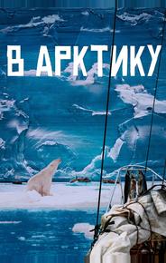 В Арктику