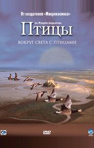 Птицы