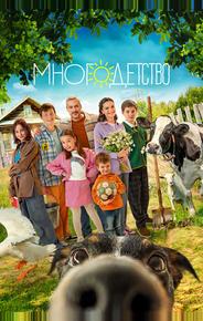 Многодетство