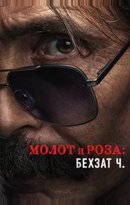 Молот и роза: История Бехзата Ч.