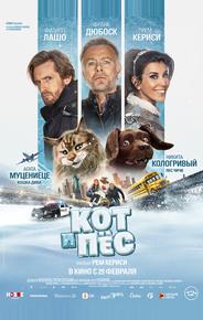 Кот и пёс