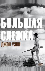 Большая слежка