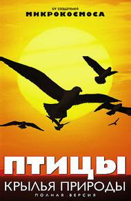 Птицы: Крылья природы
