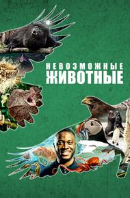 Невозможные животные