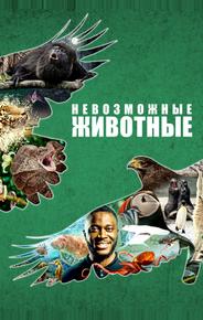 Невозможные животные