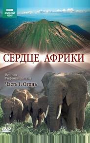 BBC: Сердце Африки