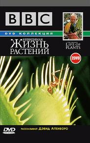 BBC: Невидимая жизнь растений