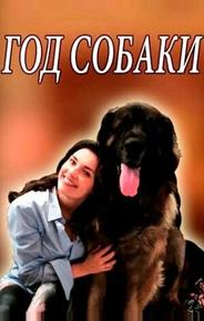 Год собаки