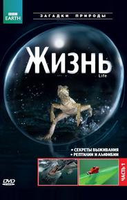 BBC: Жизнь